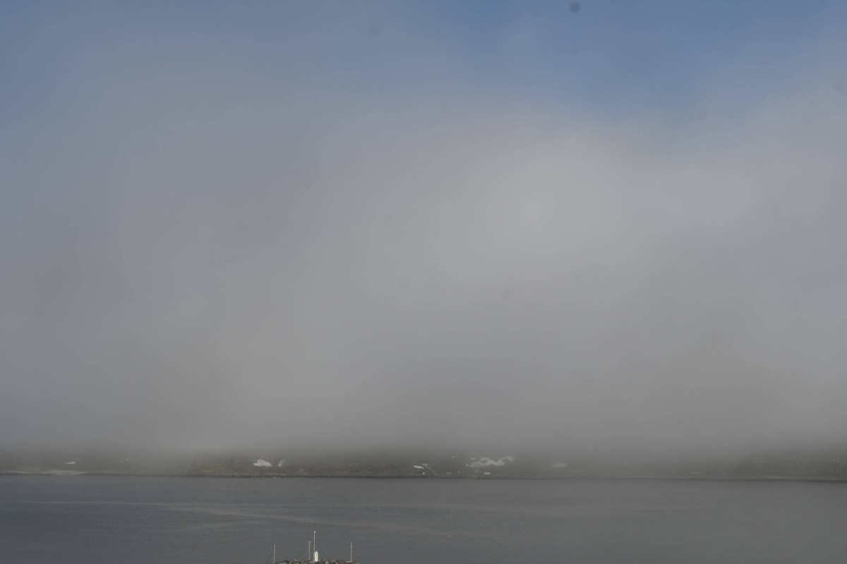 Havtåke i Mehamn kl 0630