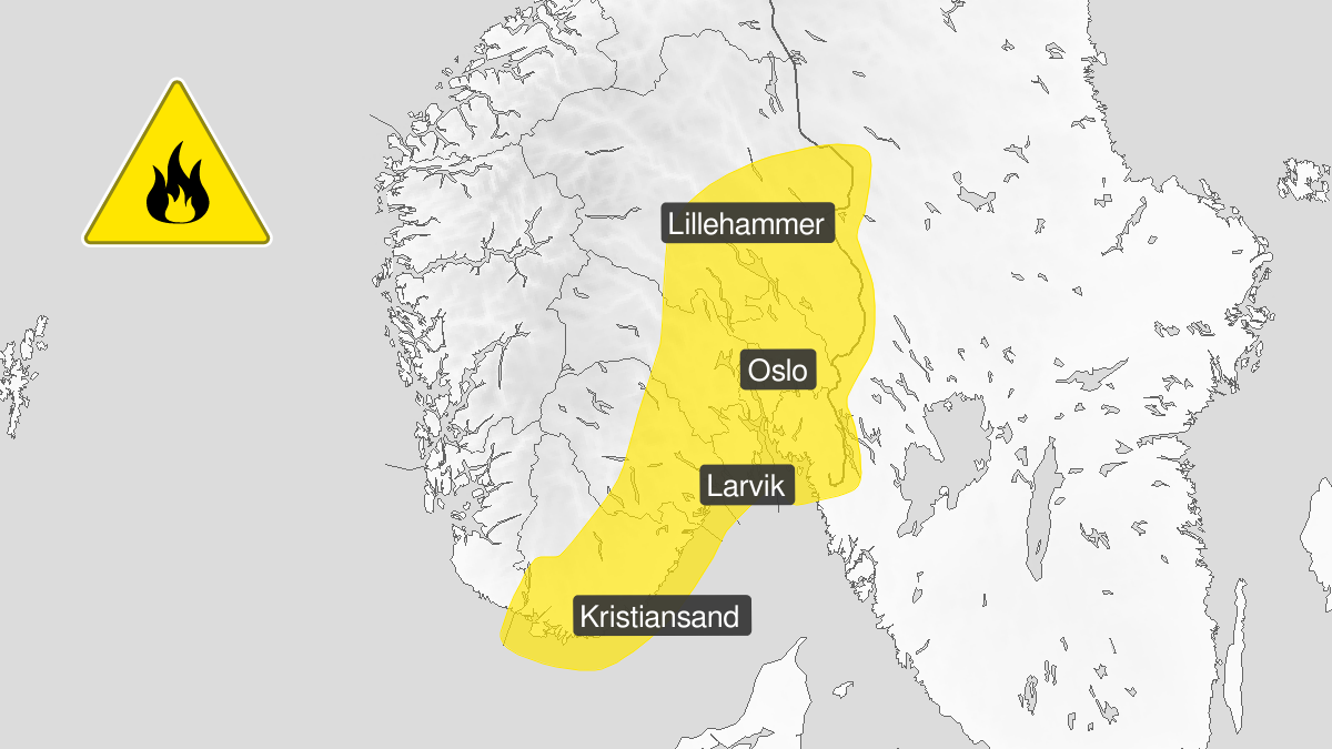 Skogbrannfare
