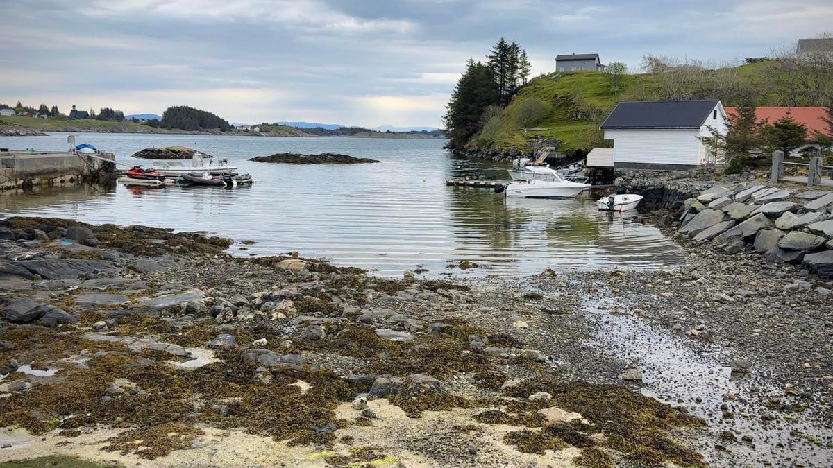 Bilde av fjæra i Austevoll